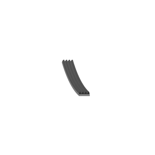 504129824 - BELT FEBI