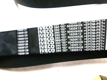 504049426 - BELT